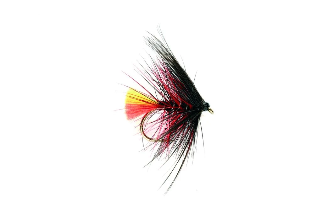 Clan Chief