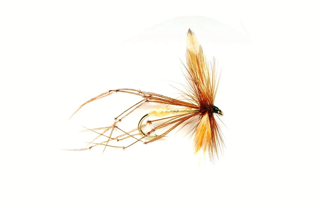 Daddy Longlegs Raffia