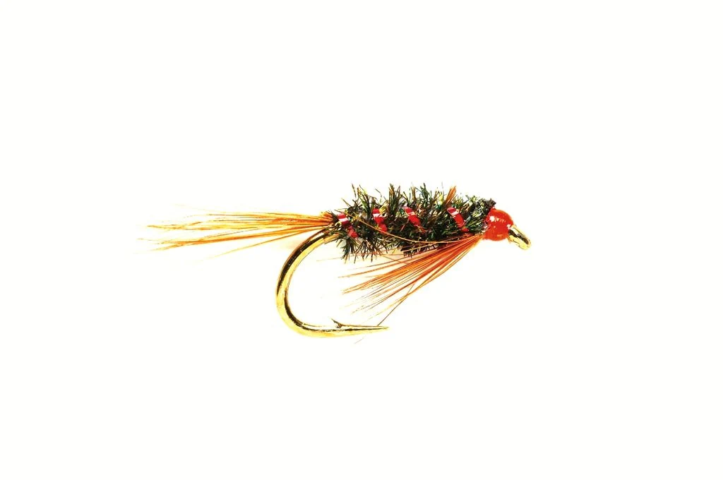 Diawl Bach Hot Head