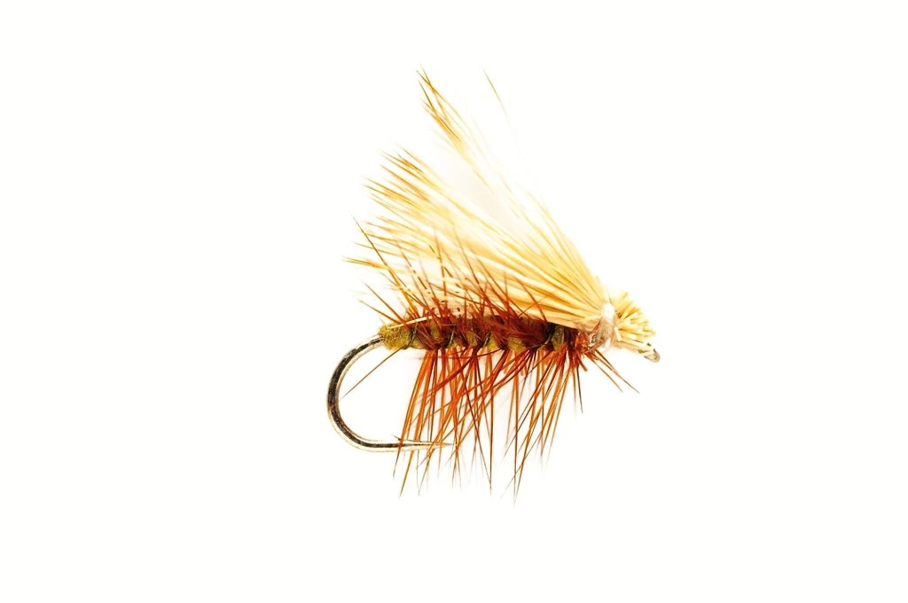 Elk Wing Olive