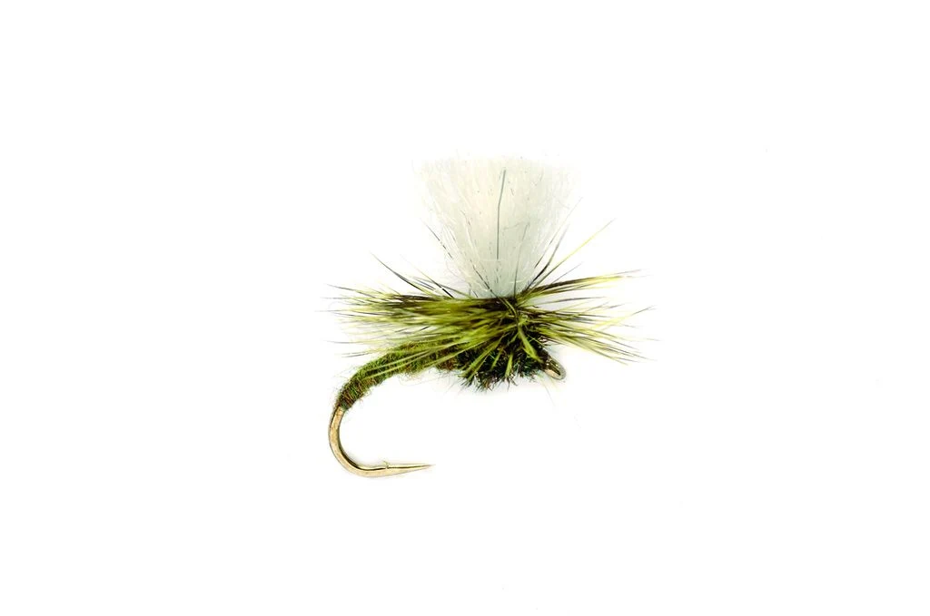 Klink Light Olive