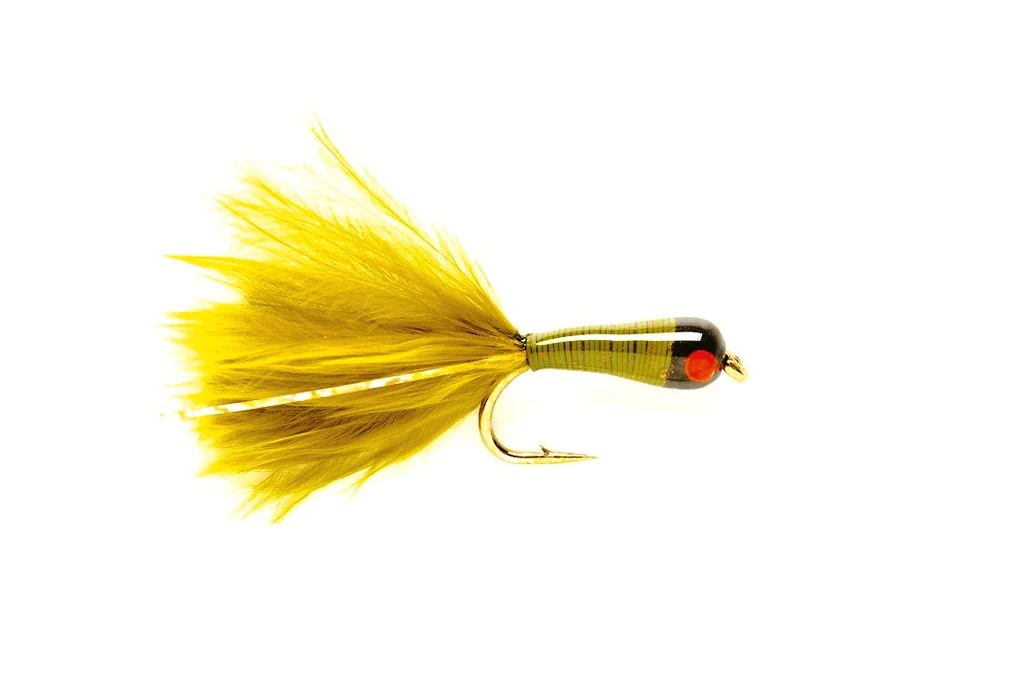 Lead Bug Olive