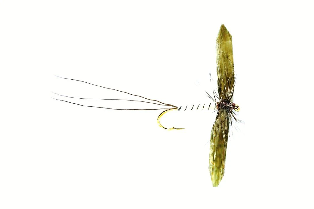 Mayfly Spinner