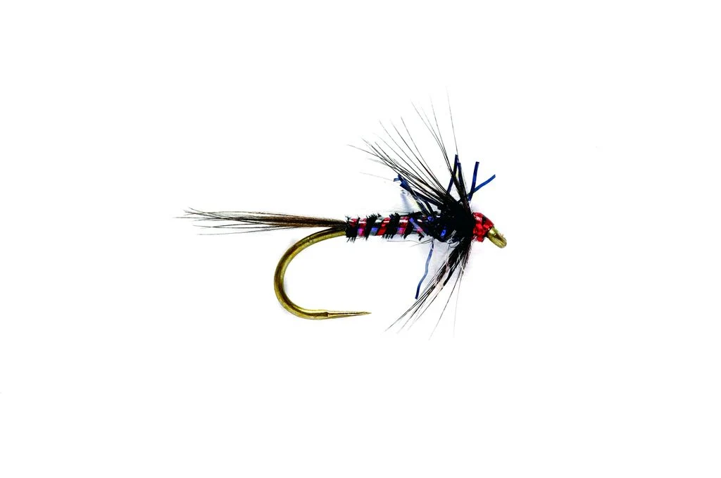 RS Nemo Black