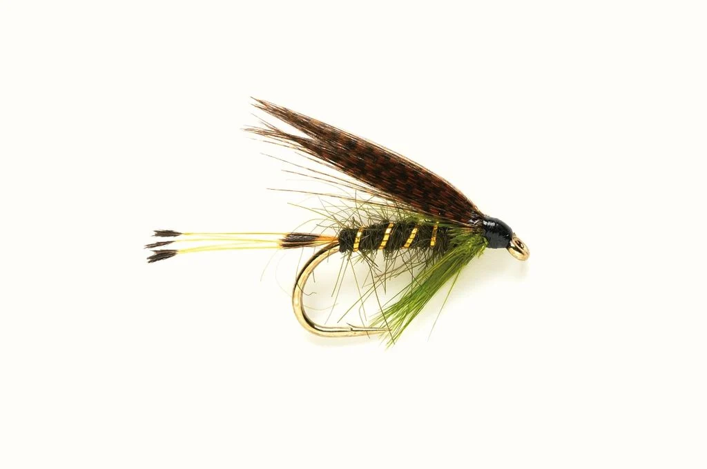 Sooty Olive