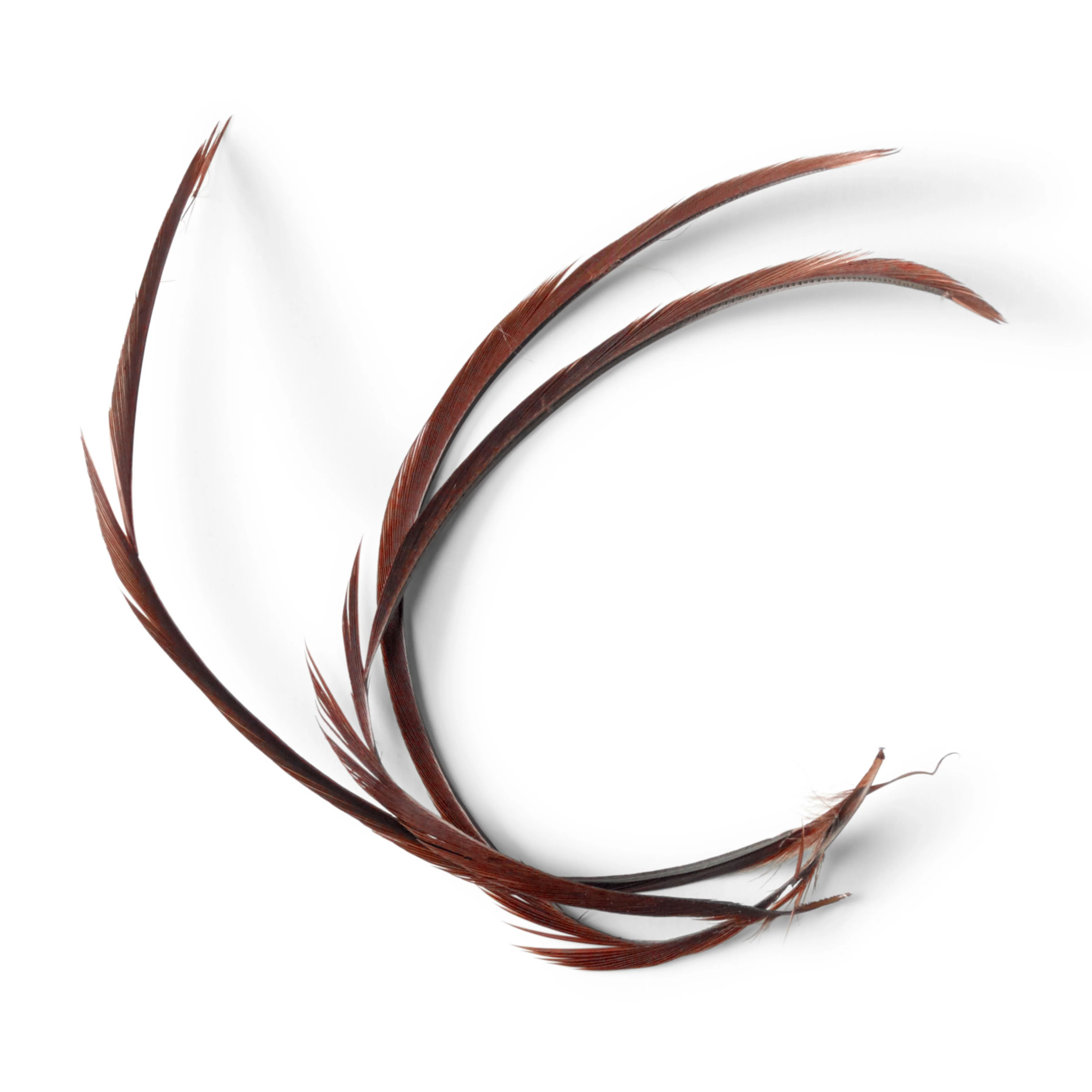 Goose Biots - Image 2