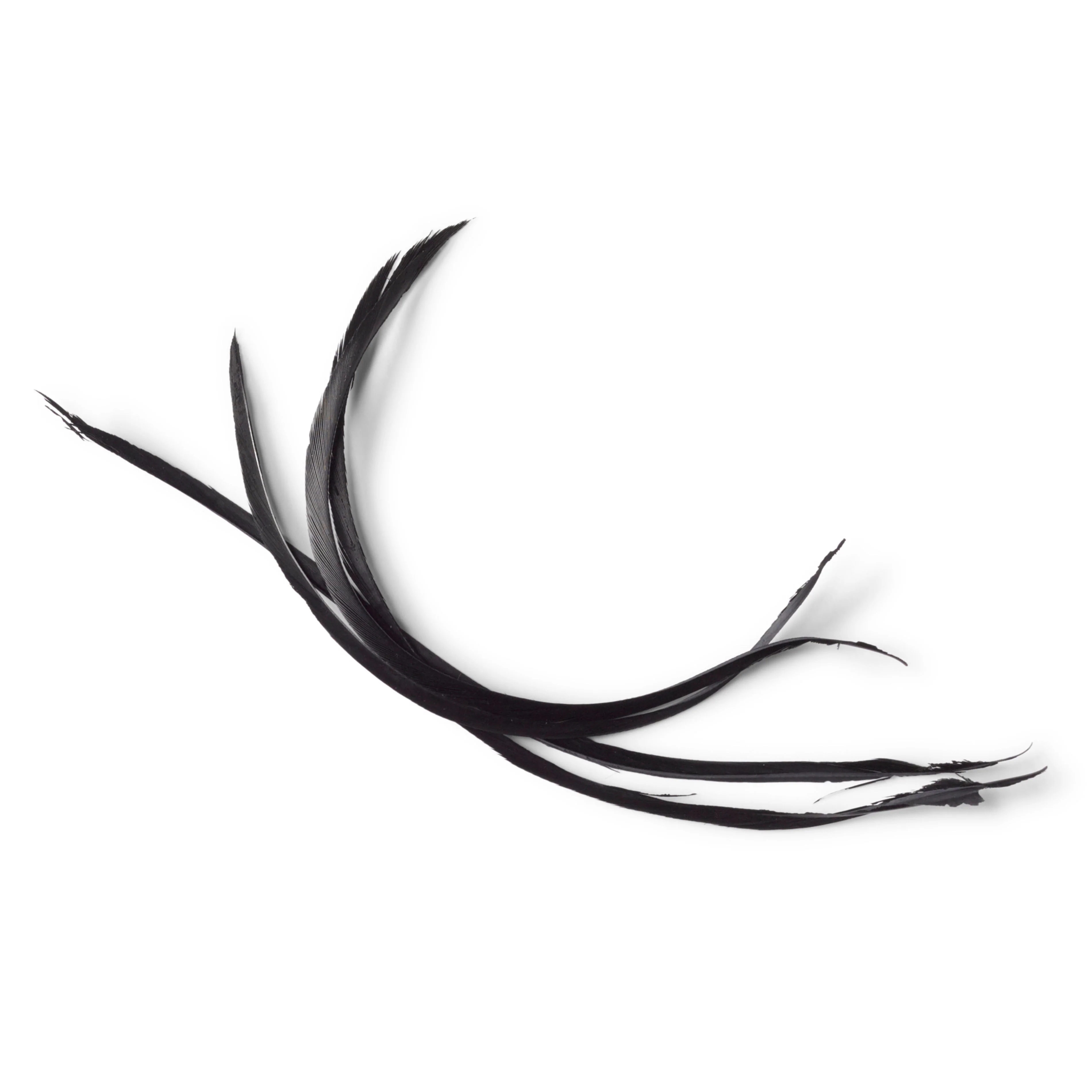 Goose Biots - Image 3