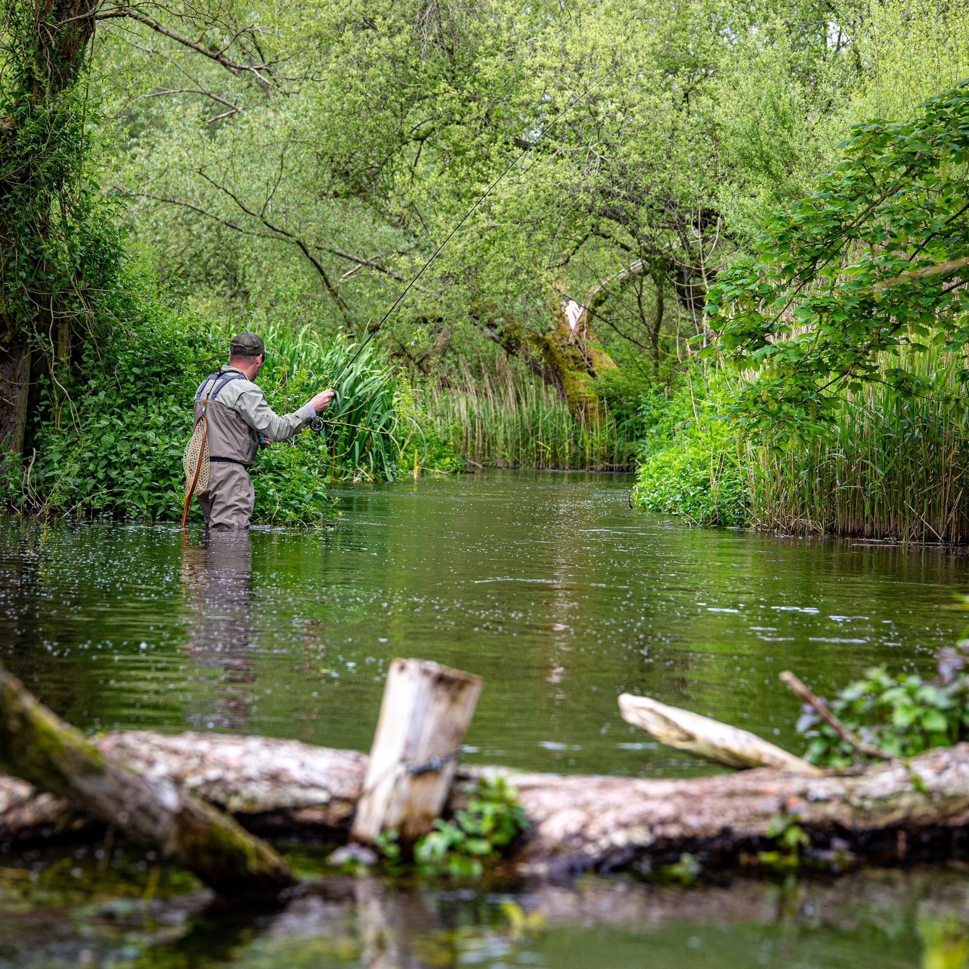 Hosted Trout Day on the River Test with Olly Newberry - Hampshire - Image 3