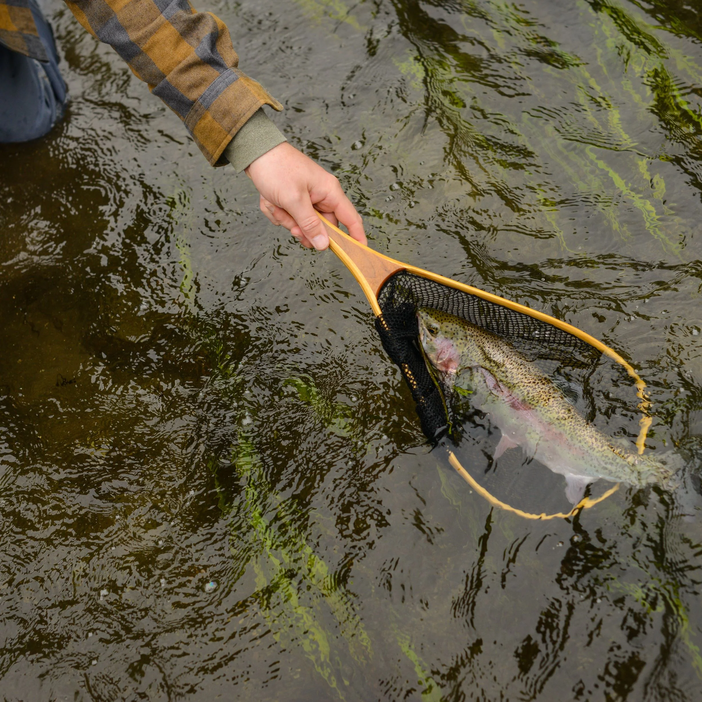 Improvers One Day Fly Fishing School On The River Test - Image 4