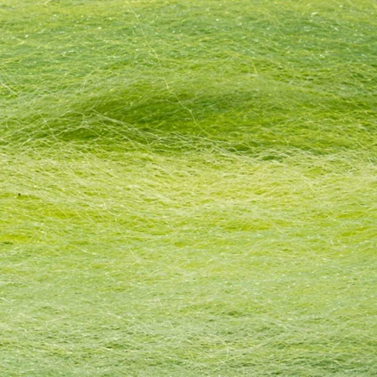 Predator Fibres - Image 6