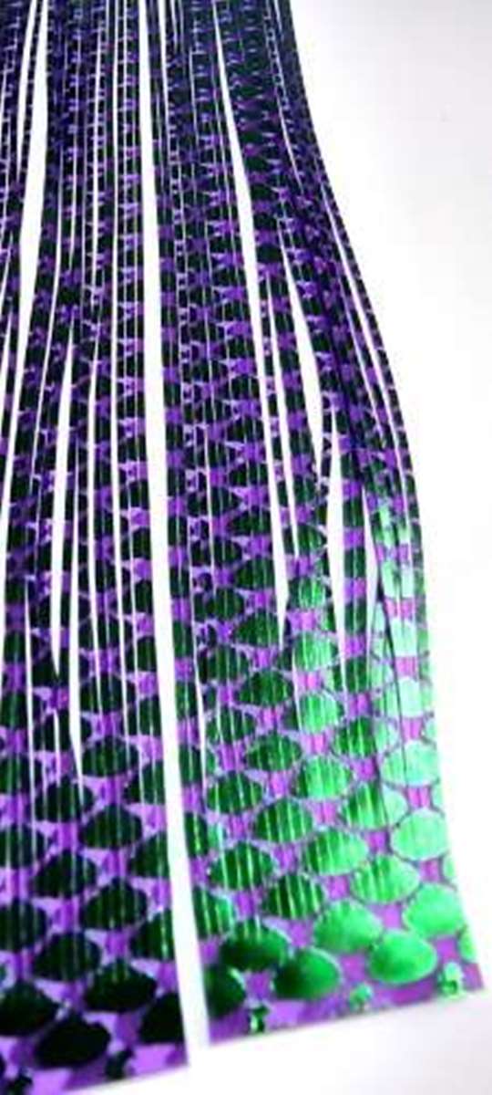 SiliLegs - Image 4