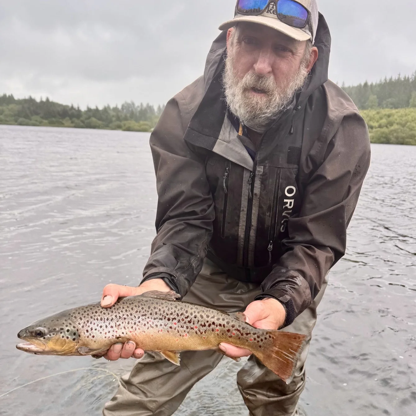 The Catch Series: Brown Trout at Roadford Lake, Dartmoor - Image 4