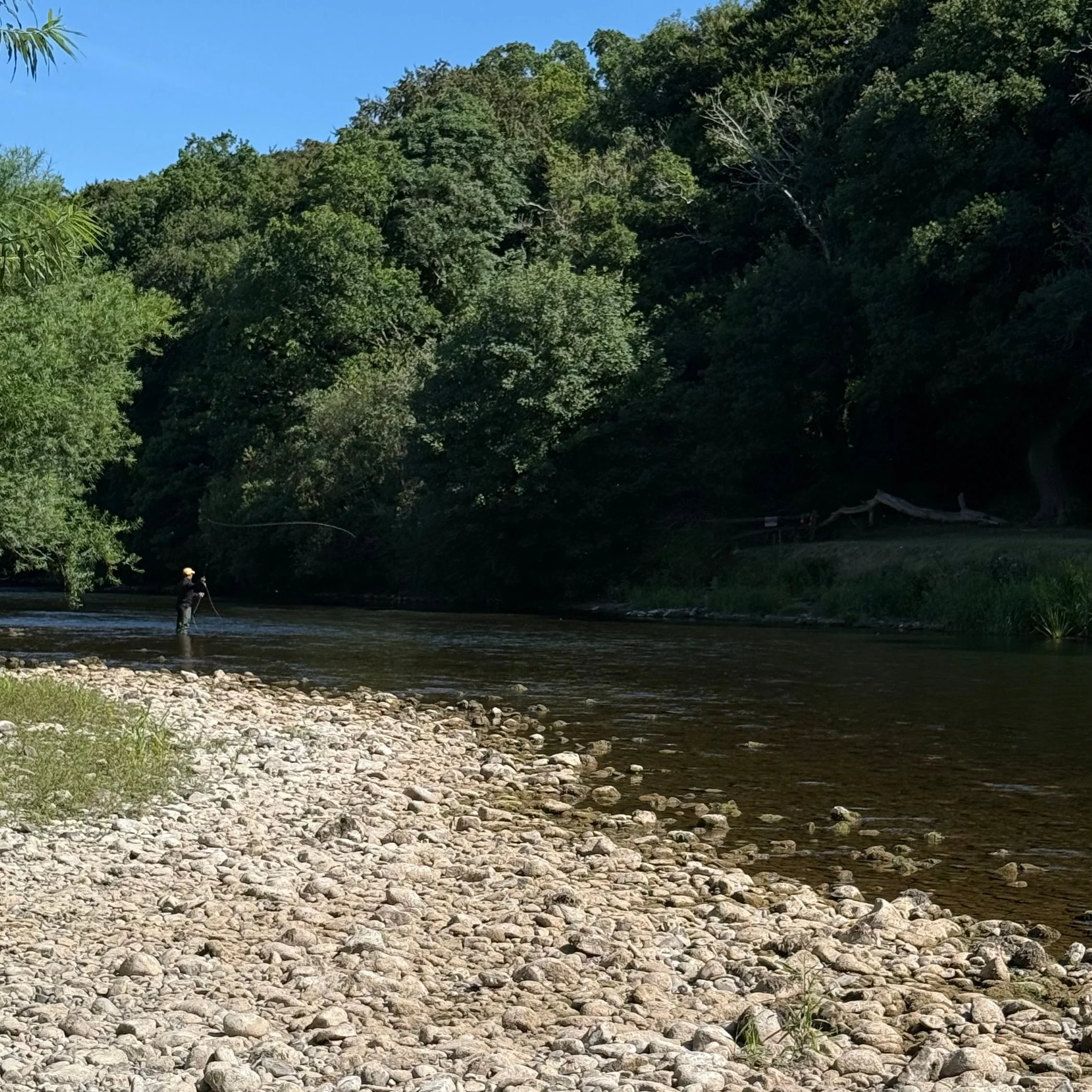 The Catch Series: Guided Fly Fishing at the Mount Juliet Estate - Ireland - Image 5