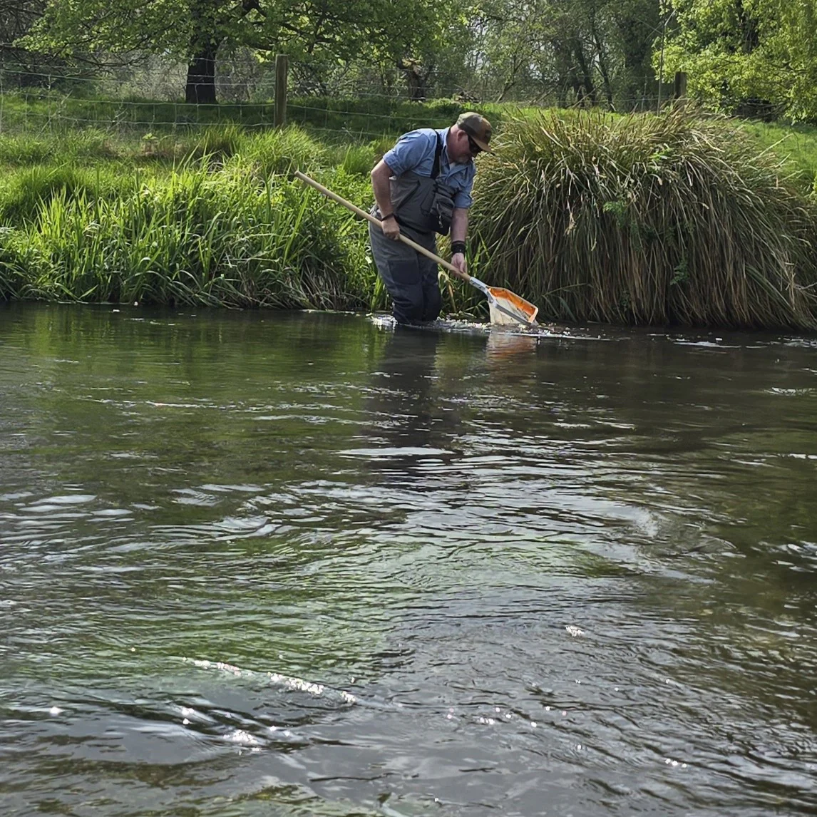 The Catch Series: Match the Hatch - Hampshire - Image 5